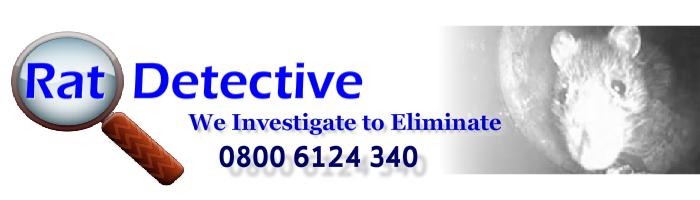 rat poison, rat traps and rat control